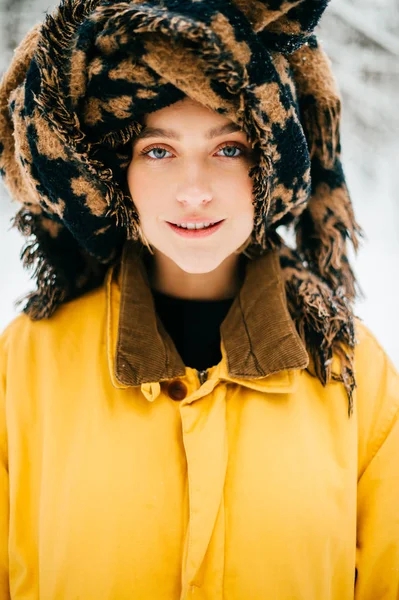 Kendő Téli Erdő Gyönyörű Portréja — Stock Fotó