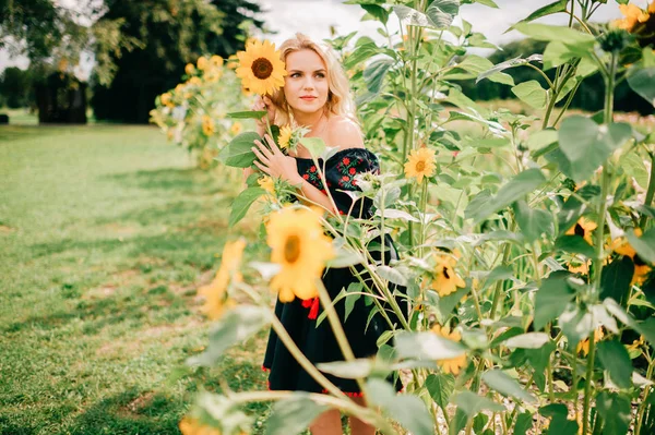 Junge Frau Posiert Sonnenblumenfeld — Stockfoto