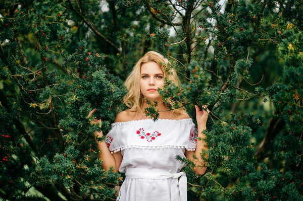 夏の日の緑のトウヒ林の美しい若い女性 — ストック写真