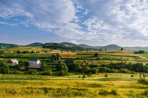 Naturaleza Rural Paisaje Verano Día Soleado — Foto de Stock