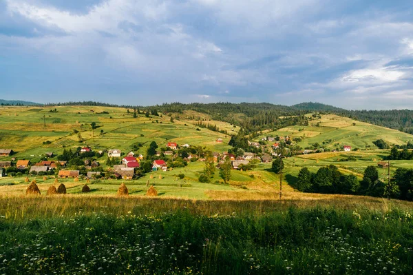 Naturaleza Rural Paisaje Verano Día Soleado — Foto de Stock