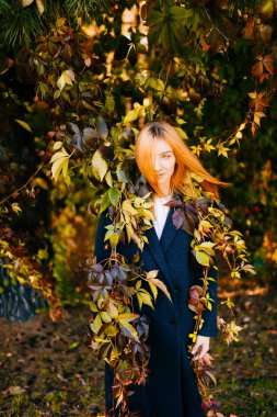 çevresinde sonbahar botanik bahçesinde bulunan Kızıl saçlı Genç güzel kadın bırakır