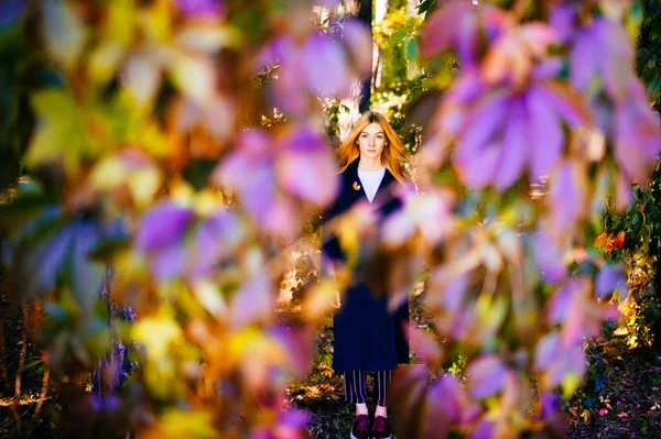 Joven Hermosa Mujer Con Pelo Rojo Jardín Botánico Otoño Con — Foto de Stock