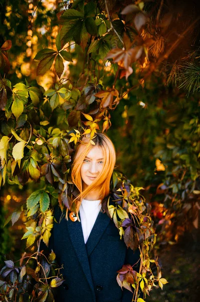 年轻美丽的女人与红头发在秋天植物园与周围的叶子 — 图库照片