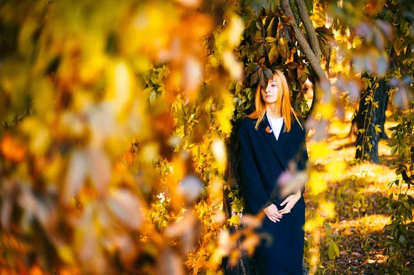 年轻美丽的女人与红头发在秋天植物园与周围的叶子 — 图库照片