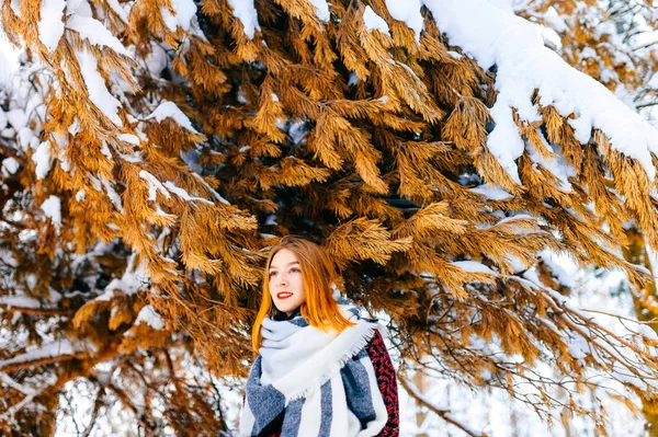 Mooie Vrouw Met Rood Haar Winter Besneeuwde Forest — Stockfoto