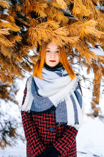美丽的女人与红头发在冬天的雪森林 — 图库照片