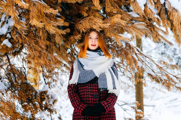 Karlı Kış Ormandaki Kızıl Saçlı Güzel Kadın — Stok fotoğraf