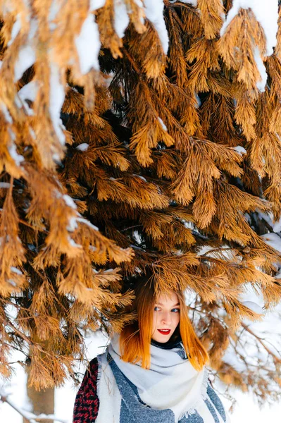 Beautiful Woman Red Hair Winter Snowy Forest — Stock Photo, Image