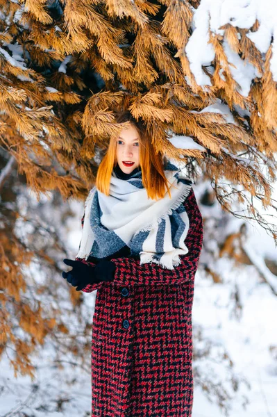 雪に覆われた冬の森で赤い髪の美しい女性 — ストック写真