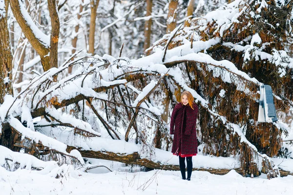 Vacker Kvinna Med Rött Hår Vinter Snöig Skog — Stockfoto