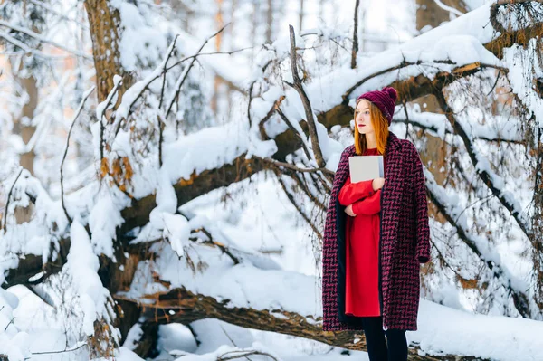 Mooie Vrouw Met Rood Haar Boek Houden Winter Besneeuwde Forest — Stockfoto