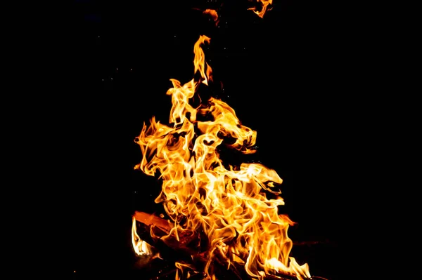 close up view of burning campfire as dark abstract background