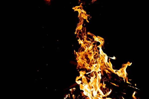 close up view of burning campfire as dark abstract background