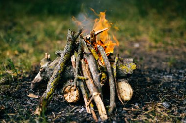Ormanda kamp ateşi yakma görünümü kadar kapatın