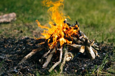 Ormanda kamp ateşi yakma görünümü kadar kapatın