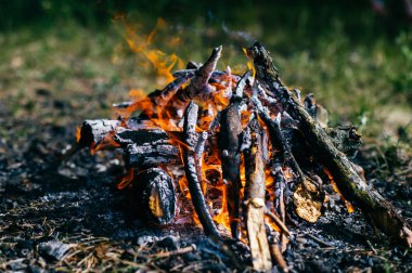 Ormanda kamp ateşi yakma görünümü kadar kapatın