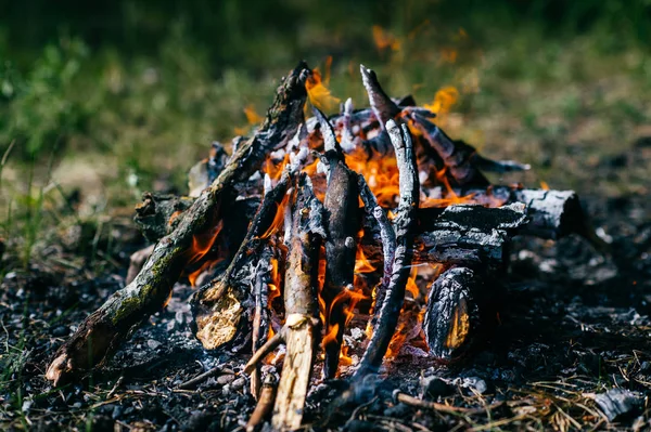 Close View Burning Campfire Forest — Stock Photo, Image