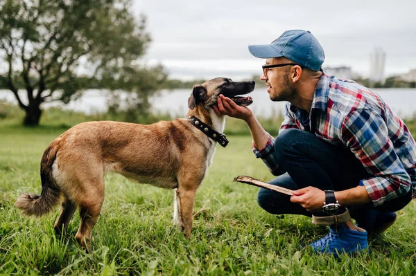 Mann Spielt Mit Hübschem Terrier Hund Park — Stockfoto