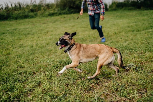 Teilansicht Eines Mannes Der Mit Einem Schönen Terrier Hund Park — Stockfoto