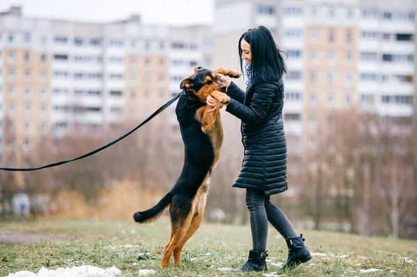Молода Жінка Милою Собакою Парку — стокове фото
