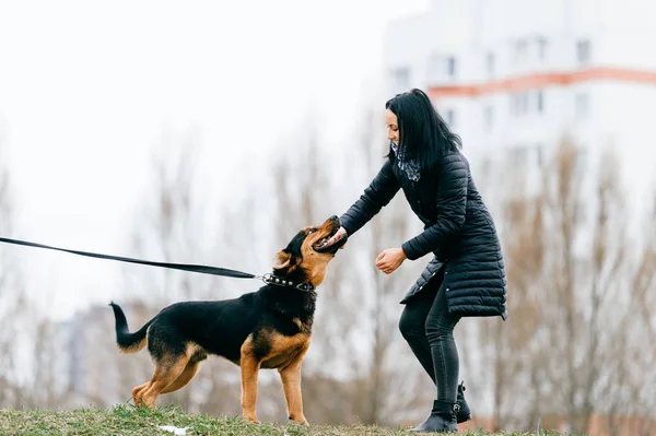 Jovem Mulher Com Lindo Cão Parque — Fotografia de Stock