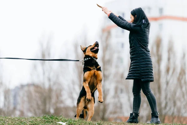 公園で素敵な犬を持つ若い女性 — ストック写真