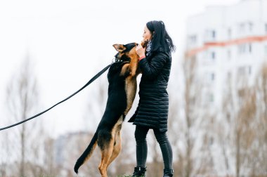 sevimli köpek park olan kadın