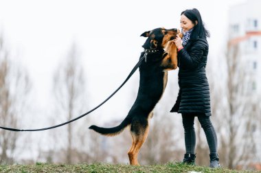 sevimli köpek park olan kadın