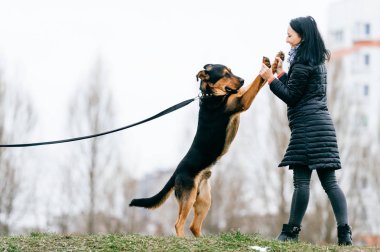 sevimli köpek park olan kadın