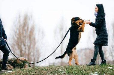 sevimli köpek park olan kadın