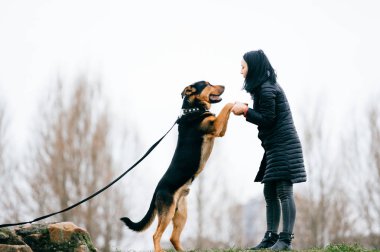sevimli köpek park olan kadın