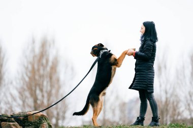 sevimli köpek park olan kadın