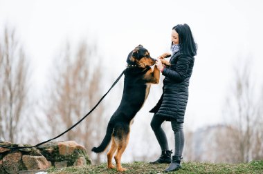sevimli köpek park olan kadın