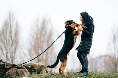 sevimli köpek park olan kadın