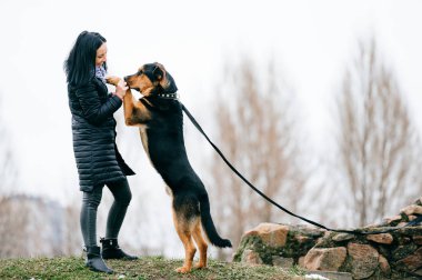 sevimli köpek park olan kadın