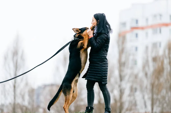 Giovane Donna Con Bel Cane Nel Parco — Foto Stock