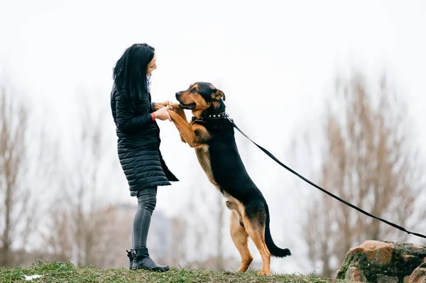 Giovane Donna Con Bel Cane Nel Parco — Foto Stock