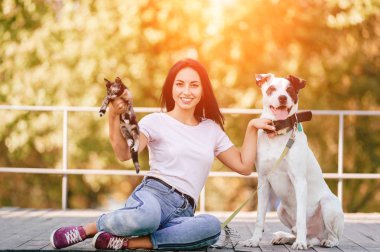 neşeli genç ve kadın ile büyük siyah ve beyaz köpek park küçük kedi