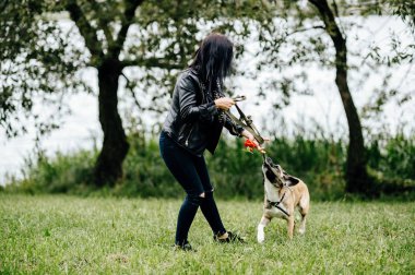Genç kadın yaz Park active köpek yavrusu ile oynarken