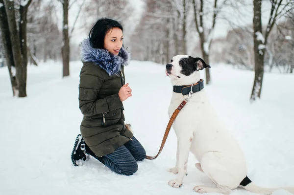 Молода Жінка Чорно Білою Собакою Зимовому Парку — стокове фото