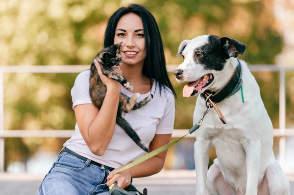 Alegre Joven Mujer Con Grande Negro Blanco Perro Poco Gato —  Fotos de Stock