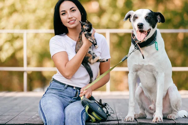 Fröhliche Junge Frau Mit Großem Schwarz Weißen Hund Und Kleiner — Stockfoto