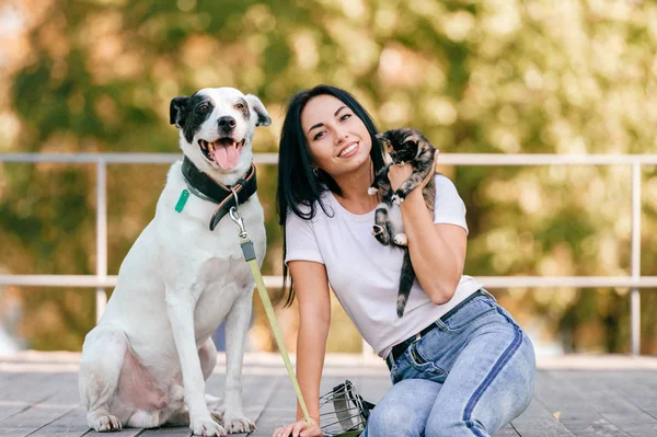 neşeli genç ve kadın ile büyük siyah ve beyaz köpek park küçük kedi