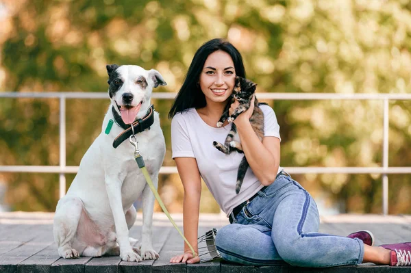 Cheerful Young Woman Big Black White Dog Little Cat Park — Stock Photo, Image