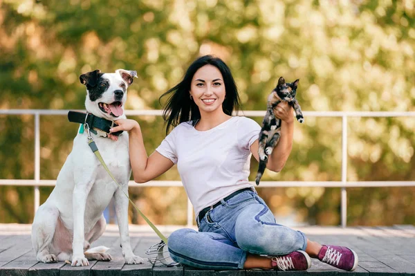 Alegre Joven Mujer Con Grande Negro Blanco Perro Poco Gato —  Fotos de Stock