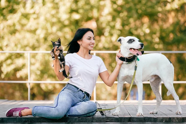 Alegre Joven Mujer Con Grande Negro Blanco Perro Poco Gato —  Fotos de Stock