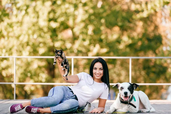 Alegre Joven Mujer Con Grande Negro Blanco Perro Poco Gato —  Fotos de Stock