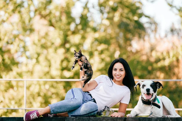 neşeli genç ve kadın ile büyük siyah ve beyaz köpek park küçük kedi