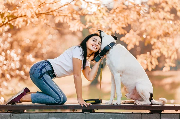 Fröhliche Junge Frau Mit Großem Schwarz Weißen Hund Park — Stockfoto